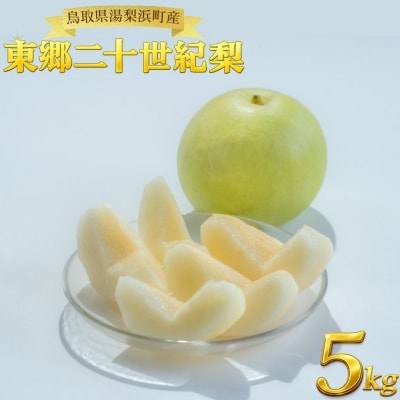 東郷二十世紀5kg(4M.)