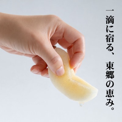 東郷二十世紀5kg(4M.)