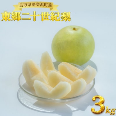 東郷二十世紀3kg(5M.)