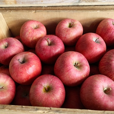 【26年11月下旬～発送】りんご【特選】サンふじ 約3kg  弘前市産|24_tdn-030301