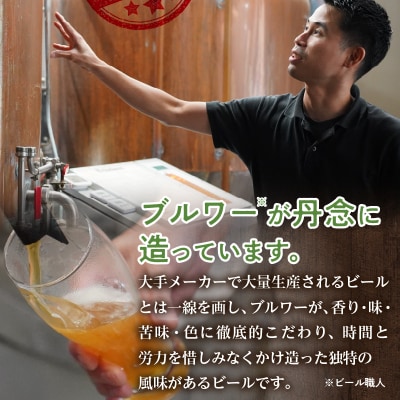 滝川クラフトビール3種6本セット