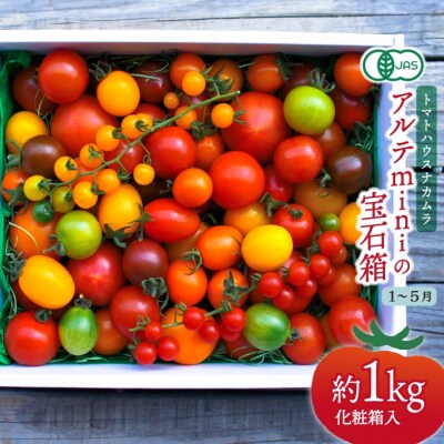 〈2026年1月より順次発送〉アルテminiの宝石箱 約1kg×1箱 フルーツトマト