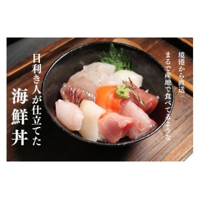 <数量限定>地魚の刺身海鮮丼・漬け丼・茶漬けセット(計370g)