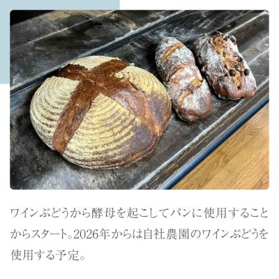 自家製ワインぶどう酵母のパン3点セット(カンパーニュ、クルミ&レーズンパン、いちじくパン　各1個)
