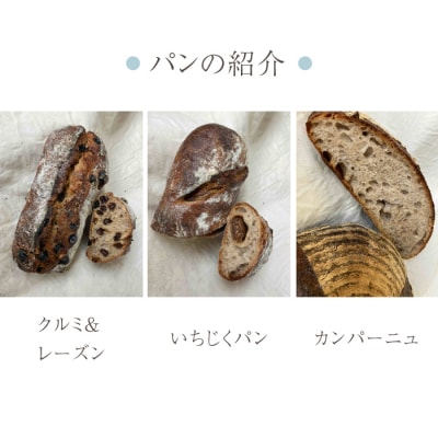 自家製ワインぶどう酵母のパン3点セット(カンパーニュ、クルミ&レーズンパン、いちじくパン　各1個)