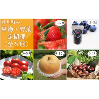 <佐川のフルーツ・野菜 定期便(全5回)> 苺・冷凍ブルーベリー・フルーツトマト・梨・夢甘栗