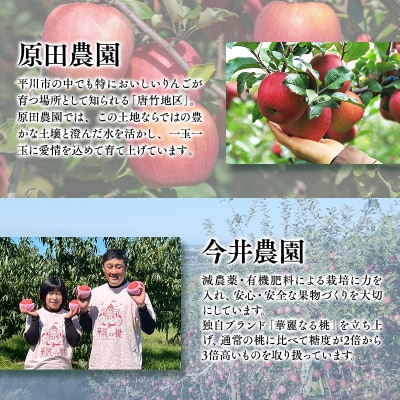 青森フルーツ満喫便　家庭用 桃&りんご 2回定期コース