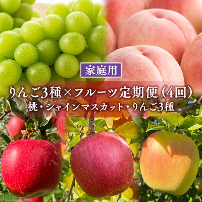 家庭用フルーツ定期便　4回(桃・シャインマスカット・りんご3種)