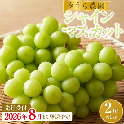 【2026年発送分先行予約】シャインマスカット 2房(約1kg)【2026年9月上旬以降順次】