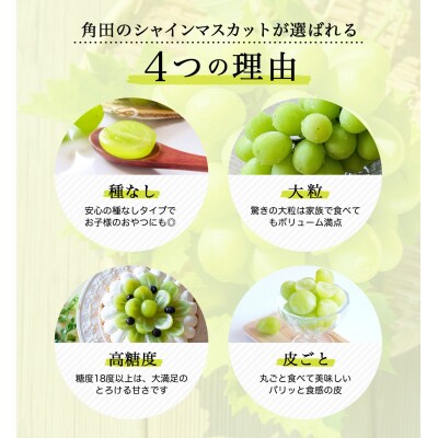 【2026年発送分先行予約】シャインマスカット 2房(約1kg)【2026年9月上旬以降順次】