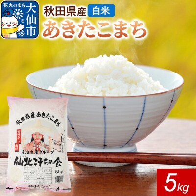米 あきたこまち 令和7年産【白米】5kg(5kg×1袋)秋田県産|22_skk-010501