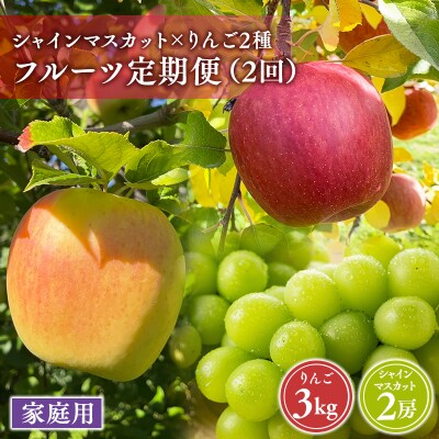 青森フルーツ満喫便　家庭用 りんご&シャインマスカット 2回定期コース