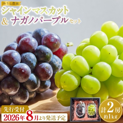 【2026年発送分先行予約】シャインマスカット/ナガノパープル セット(各1房・計2房 約1kg)【