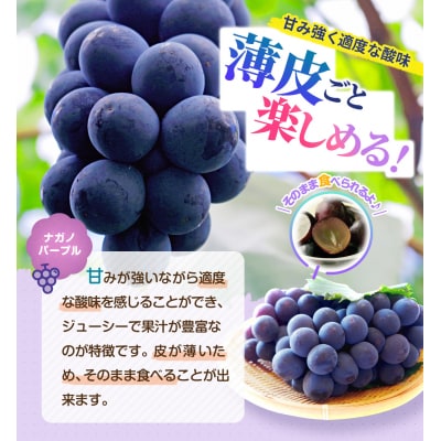 【2026年発送分先行予約】シャインマスカット/ナガノパープル セット(各1房・計2房 約1kg)【