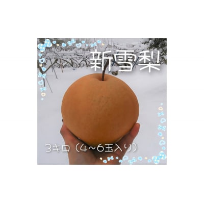 新雪梨 3kg【まえた農園】