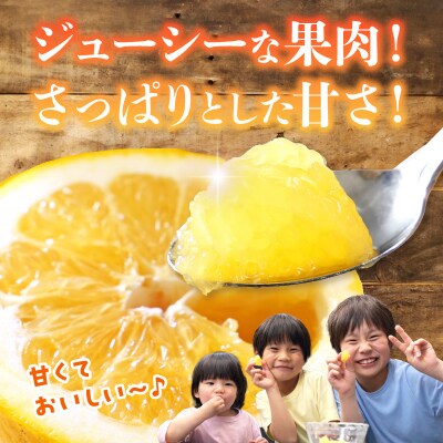 【定期便3回】もぎたて!! 愛情たっぷりあまくさ木成り晩柑食べ比べコース_S040-024A