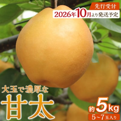 【2026年発送/先行予約】梨「甘太」約5kg(5～7玉入)【松崎果樹園】