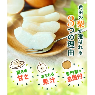 【2026年発送/先行予約】梨「甘太」約5kg(5～7玉入)【松崎果樹園】