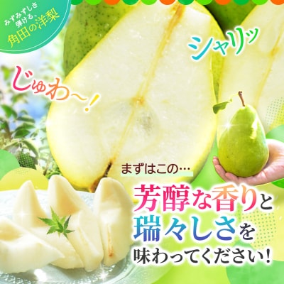 【2026年発送/先行予約】品種おまかせ 旬のりんごと洋梨詰合せ 約5kg【松崎果樹園】