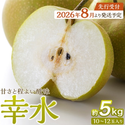 【2026年発送/先行予約】梨「幸水」約5kg(10～12玉入)【松崎果樹園】