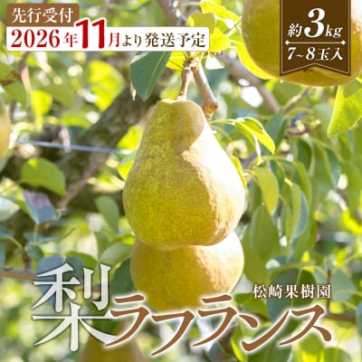 【2026年発送/先行予約】梨「ラ・フランス」約3kg(7～8玉入)【松崎果樹園】