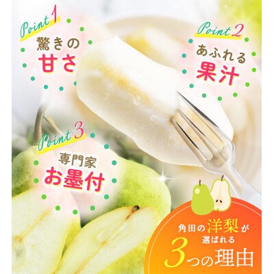 【2026年発送/先行予約】梨「ラ・フランス」約3kg(7～8玉入)【松崎果樹園】