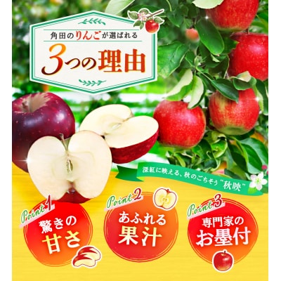 【2026年発送/先行予約】りんご「秋映」約5kg(14～16玉)【松崎果樹園】
