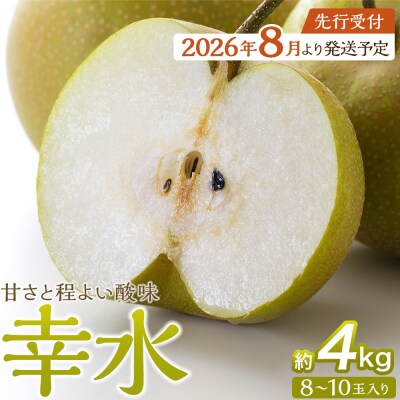 【2026年発送/先行予約】梨「幸水」約4kg(8～10玉入)【松崎果樹園】