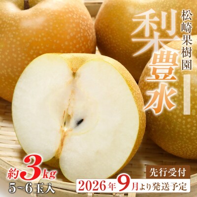 【2026年発送/先行予約】梨「豊水」約3kg(5～6玉入)【松崎果樹園】