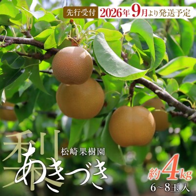 【2026年発送/先行予約】梨「あきづき」約4kg(6～8玉入)【松崎果樹園】