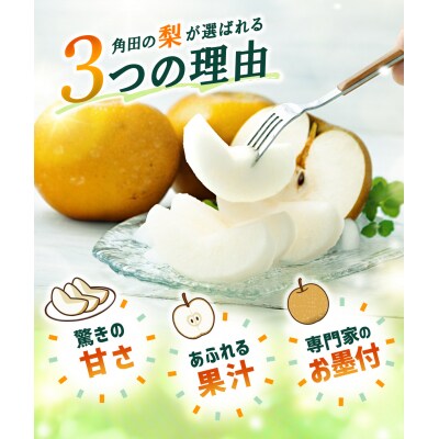 【2026年発送/先行予約】梨「あきづき」約4kg(6～8玉入)【松崎果樹園】