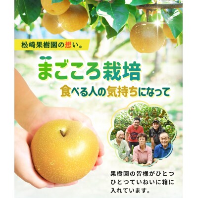 【2026年発送/先行予約】梨「あきづき」約4kg(6～8玉入)【松崎果樹園】