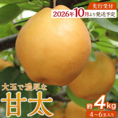 【2026年発送/先行予約】梨「甘太」約4kg(4～6玉入)10月中旬～順次発送【松崎果樹園】