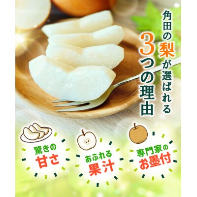 【2026年発送/先行予約】梨「甘太」約4kg(4～6玉入)10月中旬～順次発送【松崎果樹園】