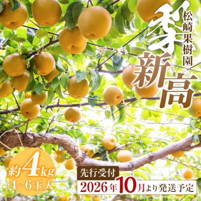 【2026年発送/先行予約】梨「新高」約4kg(4～6玉入)【松崎果樹園】