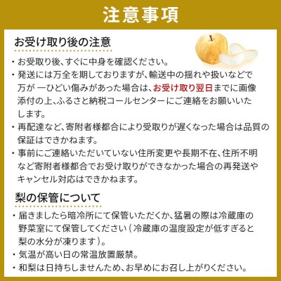 【2026年発送/先行予約】梨「甘太」約3kg(3～5玉入)10月中旬～順次発送【松崎果樹園】
