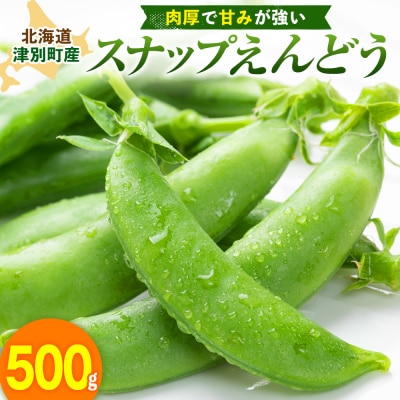 R8年産 スナップえんどう(品種:グルメ) 500g ピンクの八百屋〜ナツやさい〜 | 北海道津別町