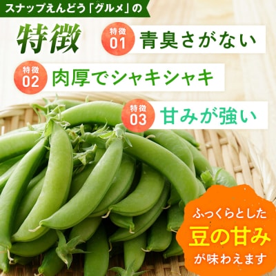 R8年産 スナップえんどう(品種:グルメ) 500g ピンクの八百屋〜ナツやさい〜 | 北海道津別町