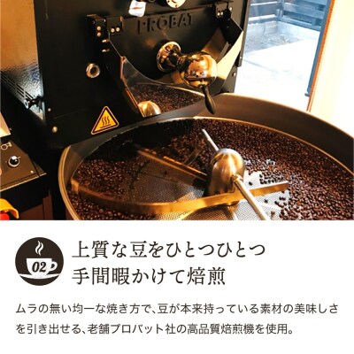 カフェ・アダチ　厳選したオーガニックコーヒー2種類　詰め合わせセット(100g×2種)S5-36
