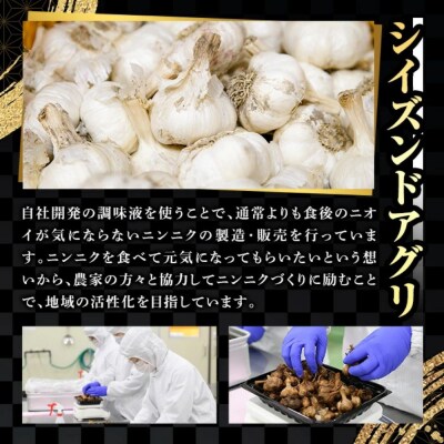 食後のニオイが気にならないニンニク 1kg 訳あり 大容量【116600200】【シイズンドアグリ】