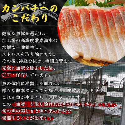 <異次元の鮮度!「超冷薫」冷凍カンパチ ロイン(5kg)>　かんぱち　海鮮　魚介　西予