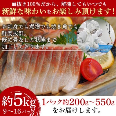 <異次元の鮮度!「超冷薫」冷凍カンパチ ロイン(5kg)>　かんぱち　海鮮　魚介　西予