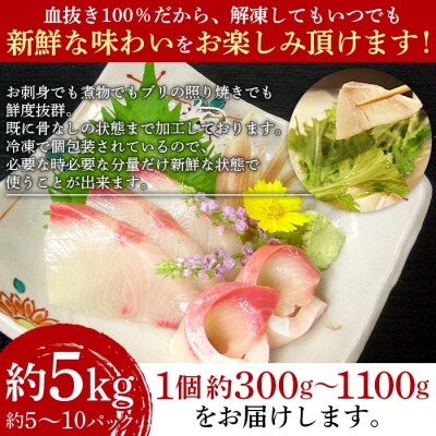 <異次元の鮮度!「超冷薫」冷凍ぶり ロイン(5kg)>　海鮮　ブリ　鰤　魚介　西予