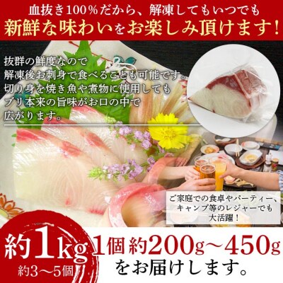 <異次元の鮮度!「超冷薫」冷凍ぶり ブロックカット(1kg)>　ブリ　鰤　海産　魚介　西予