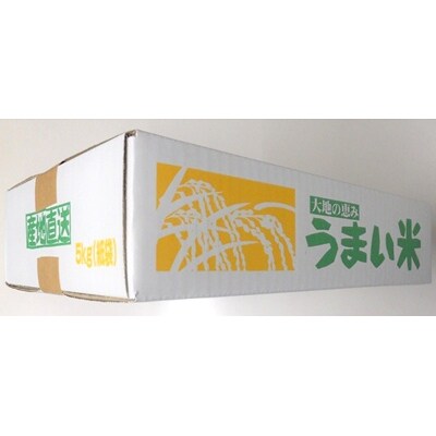 令和7年産　山形のお米　米囃子(はえぬき)5kg　0017-2538