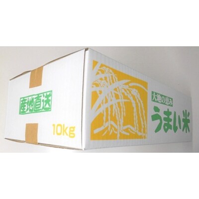 令和7年産　山形のお米　米囃子(はえぬき)5kg×2袋　0017-2539
