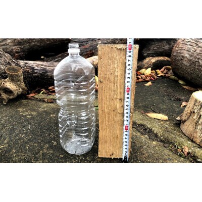 太陽の薪　6箱配送 [No.5325-0027]
