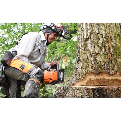 太陽の薪　18箱6回配送 [No.5325-0031]