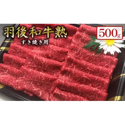 「羽後和牛」の生みの親 「羽後和牛 熟」ウデすき焼き用500g [No.5325-0038]
