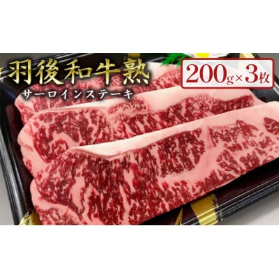 「羽後和牛」の生みの親 「羽後和牛 熟」サーロインステーキ200g×3枚[No.5325-0040]